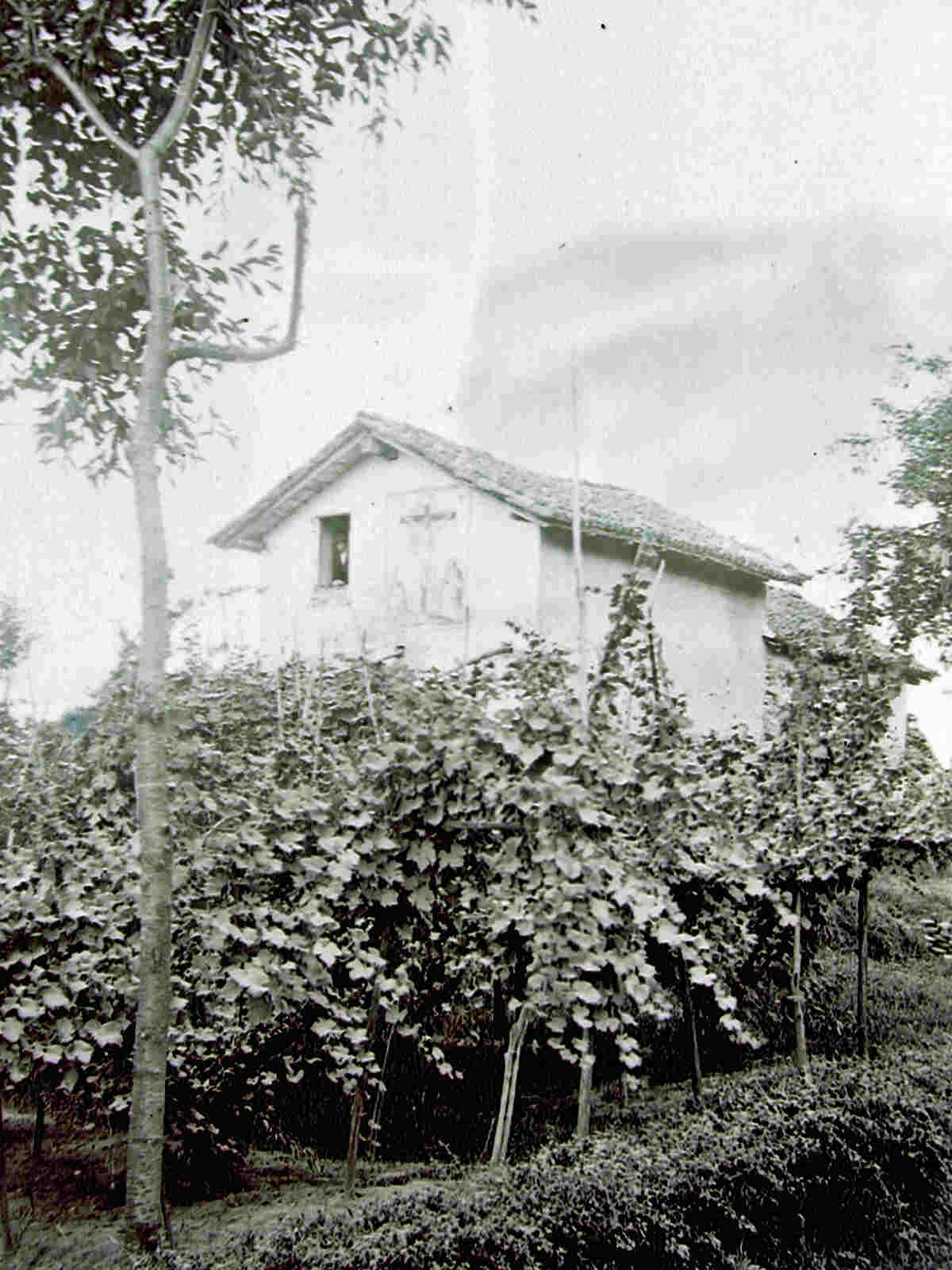 San Pietro (Photo by Dott.Ignazio Fornara - Primi del '900)